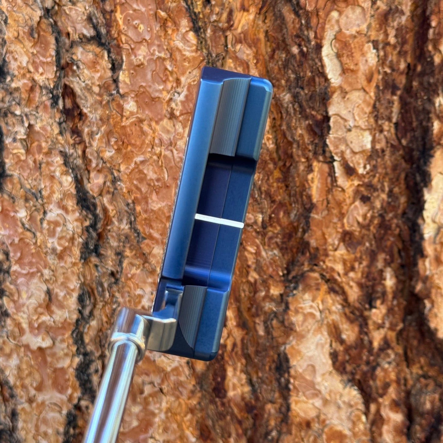 Studio Style Polished Blue Bulletback (Popular Design)
