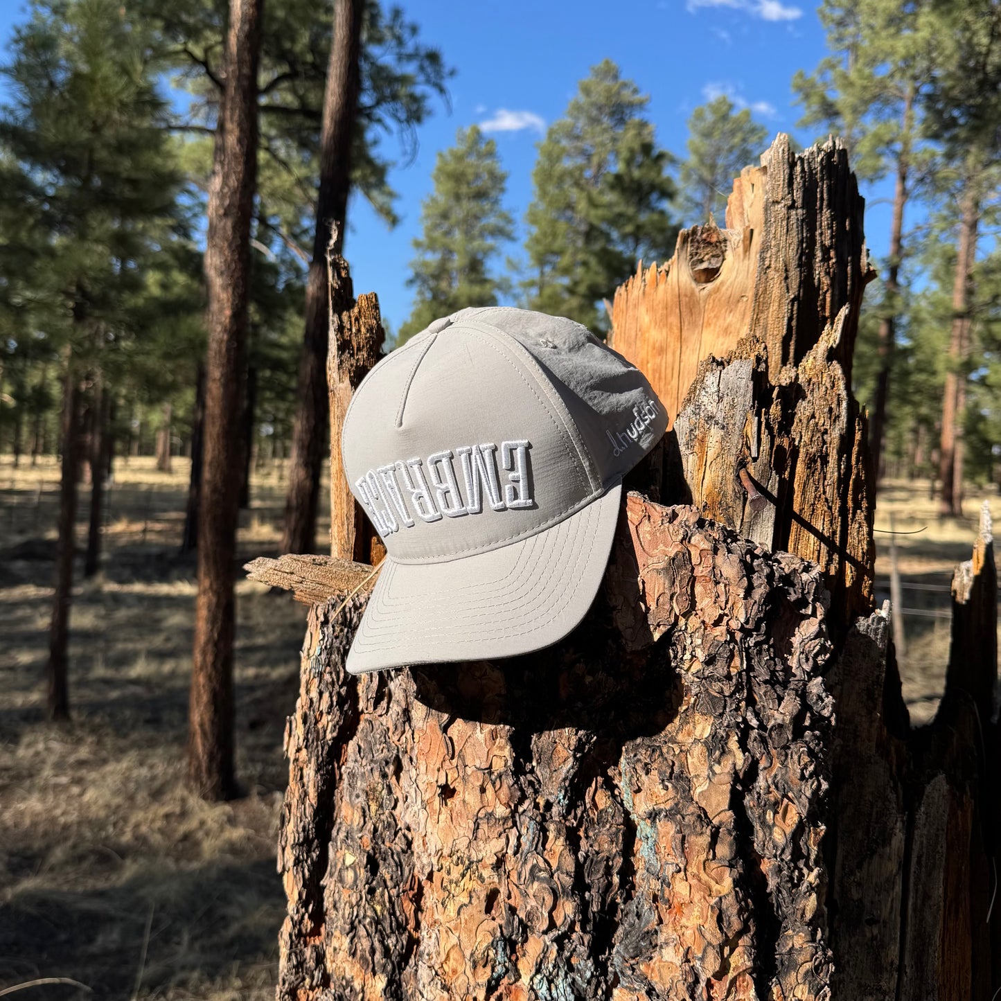 Upside down Embrace X d.Hudson Hats