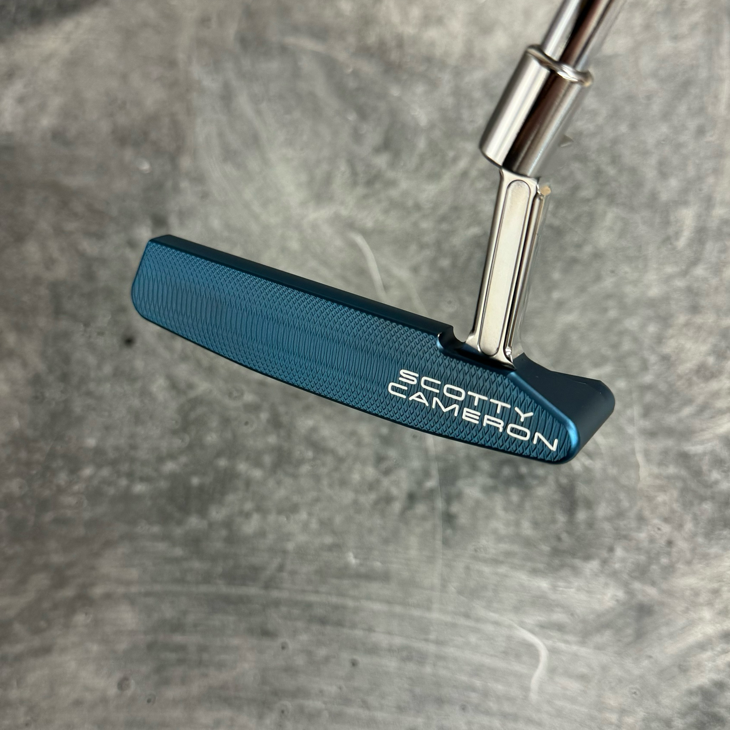 Polished Blue Bulletback (Popular Design)