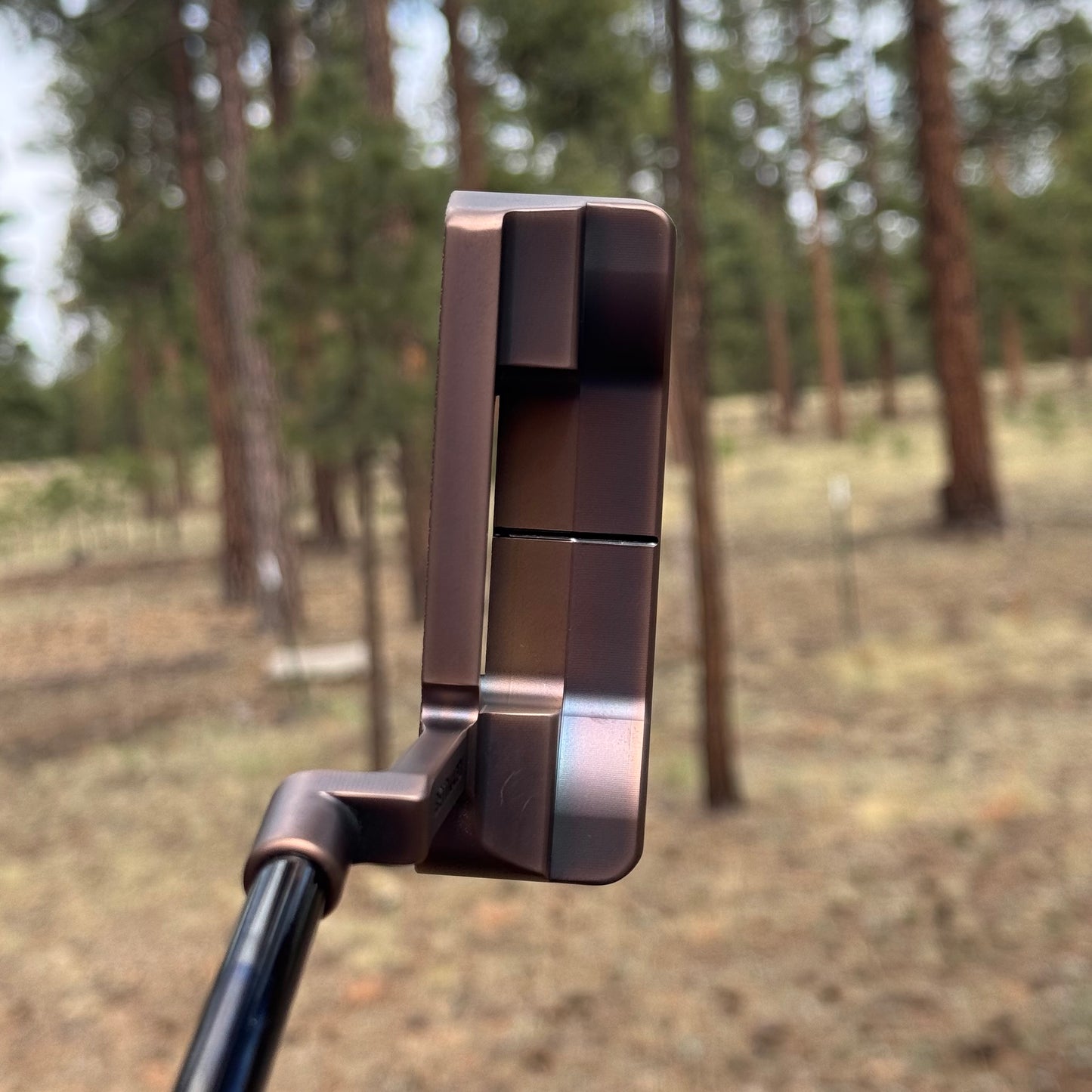 Bettinardi BB-1W (Antique Bronze PVD)
