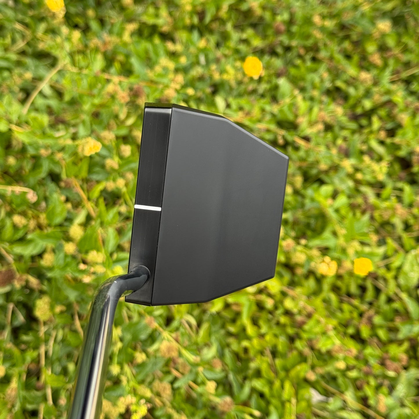 Suzuka V (Double Bend)