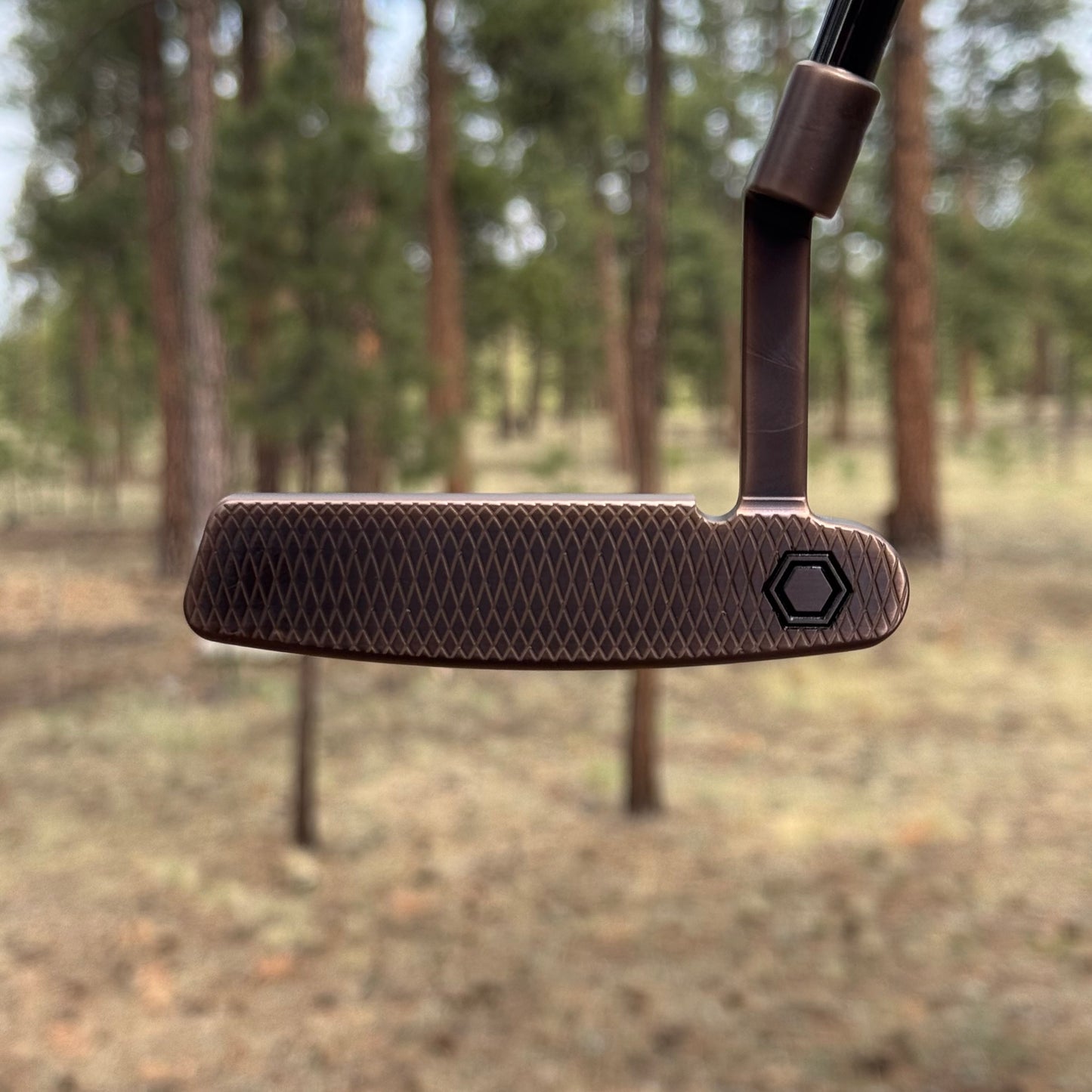 Bettinardi BB-1W (Antique Bronze PVD)