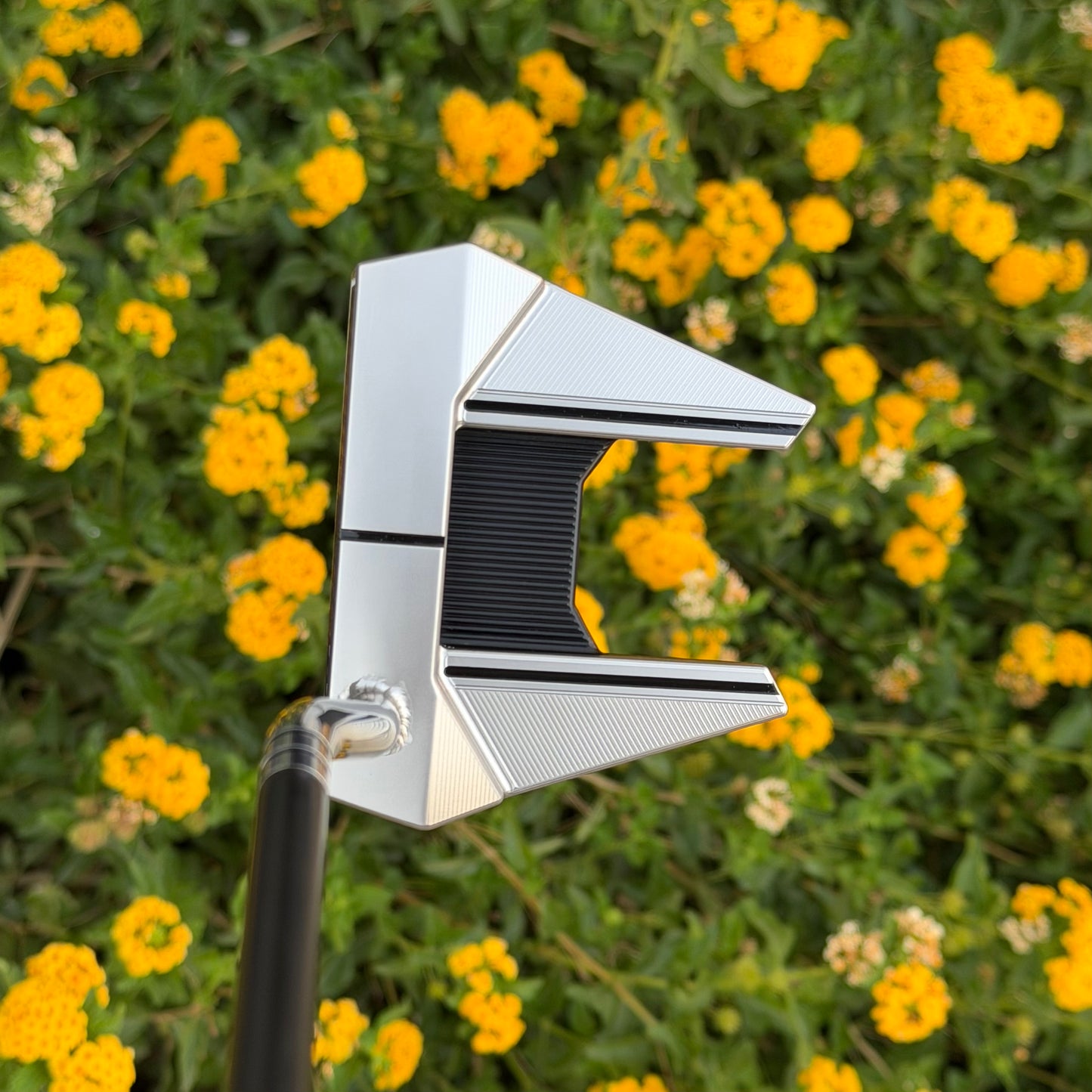 Scotty Cameron Phantom 7 Polished Pipe Neck (Tour Satin)