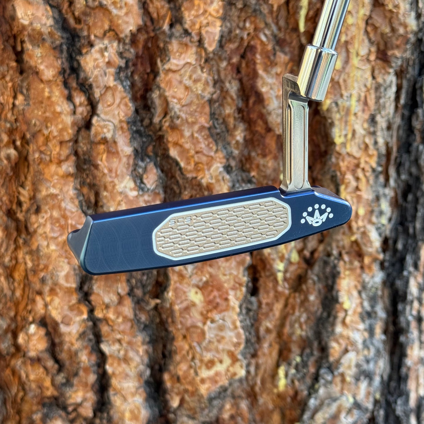 Studio Style Polished Blue Bulletback (Popular Design)